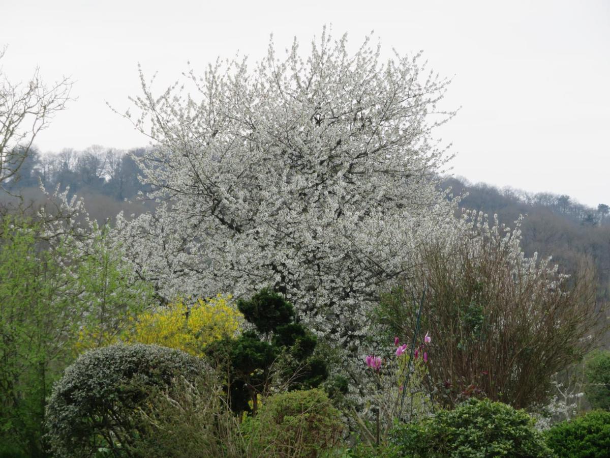 Ecrin de Verdure Sainte-Suzanne  Exterior foto